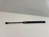 Tailgate/trunk strut/damper