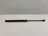 Tailgate/trunk strut/damper