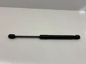Tailgate/trunk strut/damper