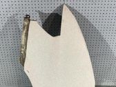 Fender