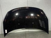 Motorhaube