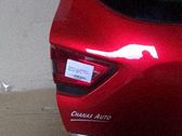 Tailgate rear/tail lights