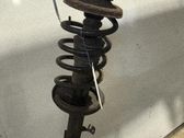 Amortiguador delantero con muelle espiral