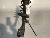 Amortiguador delantero con muelle espiral