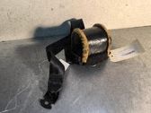 Sicherheitsgurt hinten