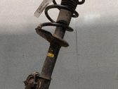 Amortiguador delantero con muelle espiral