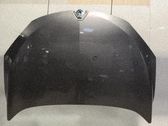 Motorhaube