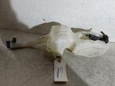 Depósito/tanque del líquido limpiaparabrisas