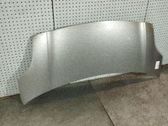 Motorhaube