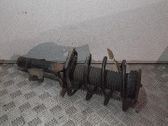 Front shock absorber with coil spring