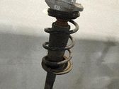 Priekinis amortizatorius su spyruokle