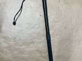 Tailgate/trunk strut/damper