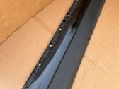 Front door trim (molding)