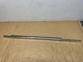 Rear door trim (molding)