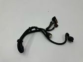 Gearbox/transmission wiring loom