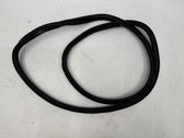 Trunk rubber seal (body)