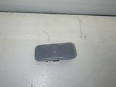 Luz del asiento delantero