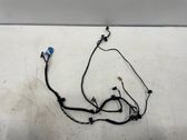 Front door wiring loom