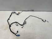 Front door wiring loom