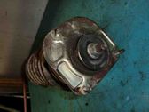 Front shock absorber with coil spring