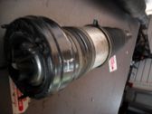 Front shock absorber with coil spring