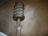 Front shock absorber with coil spring