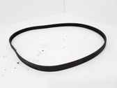 Alternator belt