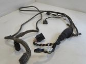 Other wiring loom