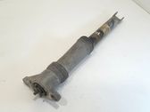 Stoßdämpfer hinten
