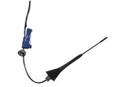Radion antenni