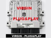 Engine control unit/module ECU