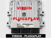 Engine control unit/module ECU