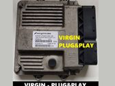 Engine control unit/module ECU