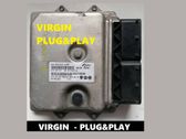 Engine control unit/module ECU