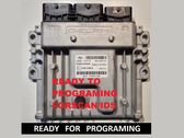 Calculateur moteur ECU