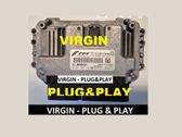 Engine control unit/module ECU