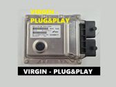 Engine control unit/module ECU