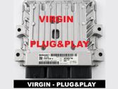 Engine control unit/module ECU