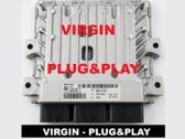Engine control unit/module ECU