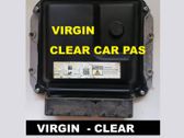 Engine control unit/module ECU