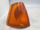 Front fender indicator light