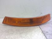 Front fender indicator light