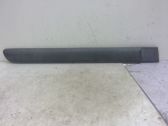 Listón embellecedor de la puerta delantera (moldura)