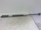 Tailgate/trunk strut/damper