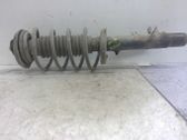 Front shock absorber with coil spring