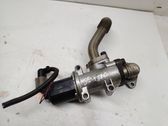 EGR valve