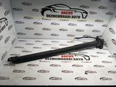 Tailgate/trunk strut/damper