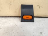 Front door trim (molding)