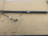 Tailgate/trunk strut/damper