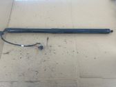 Tailgate/trunk strut/damper